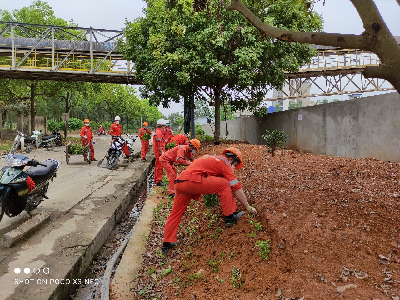  Đoàn Thanh niên Công ty CP Xi măng Đồng Bành tại Lạng Sơn trồng cây xanh tại khuôn viên nhà máy.
